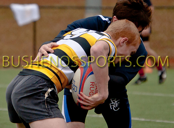 bushenosRugTenn21812-3676