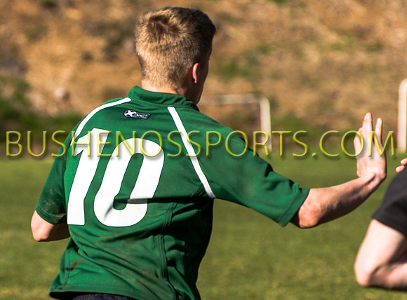 bushenosWalLamRugB022413-3365