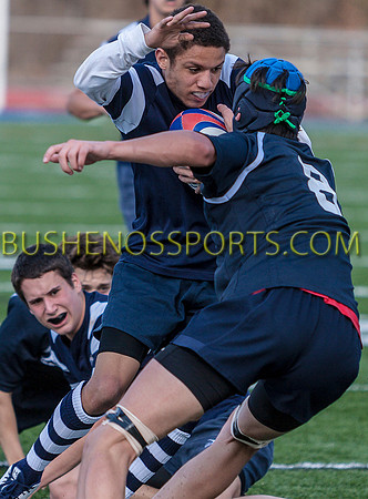 bushenosRugbyPOPE20512-6388 copy