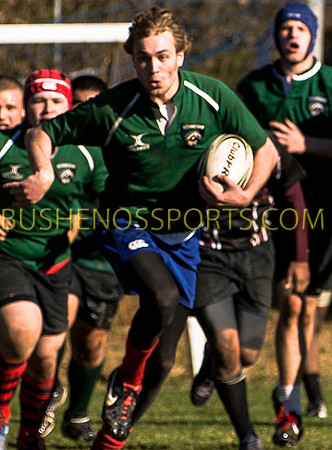 bushenosWalLamRugB022413-3377
