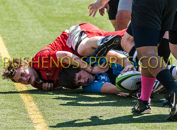 bushenos15sRug41412-2688