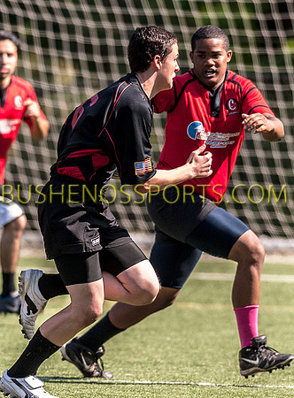 bushenos15sRug41412-0021