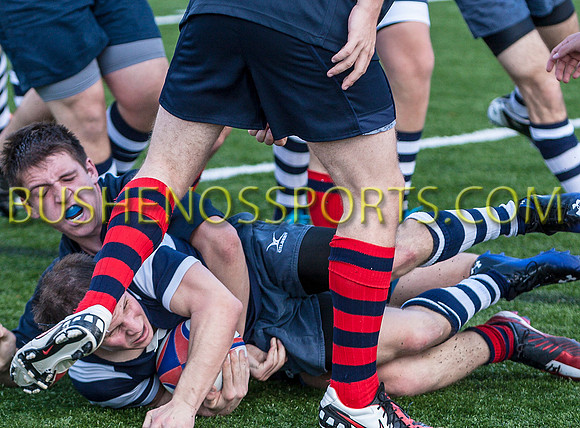 bushenosRugbyPOPE20512-6397 copy