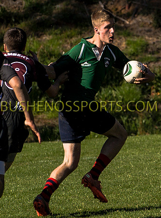 bushenosWalLamRugB022413-3371
