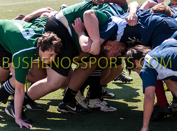 bushenos15sRug41412-2820