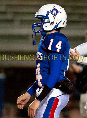 bushenosSCobb111811-6880