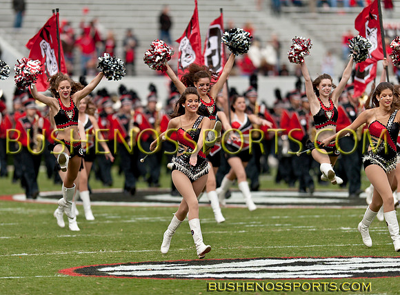 bushenosugakent111911-7912cr