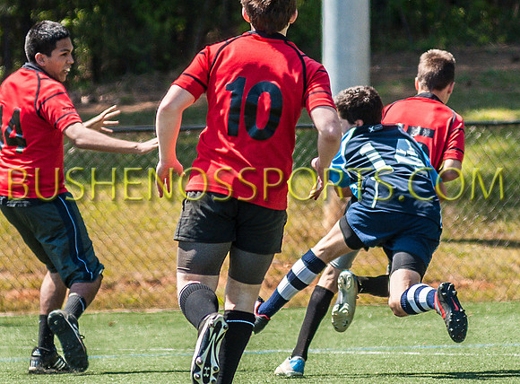bushenos15sRug41412-2717