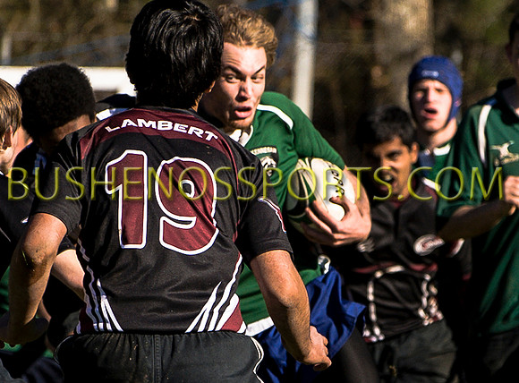 bushenosWalLamRugB022413-3379