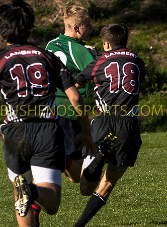 bushenosWalLamRugB022413-3370