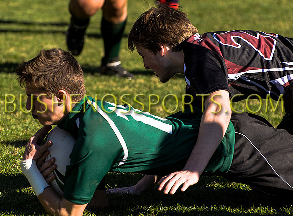 bushenosWalLamRugB022413-3388