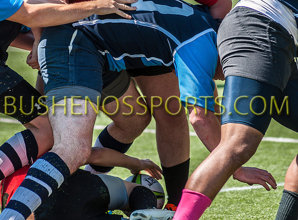 bushenos15sRug41412-2724