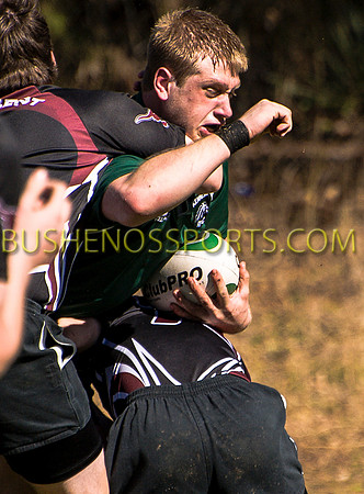 bushenosWalLamRugA022413-2818