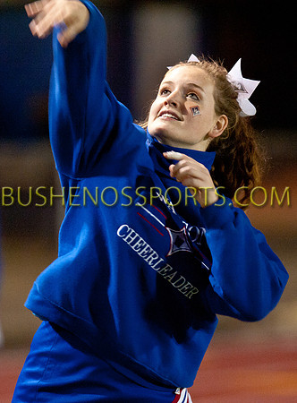 bushenosSCobb111811-6901