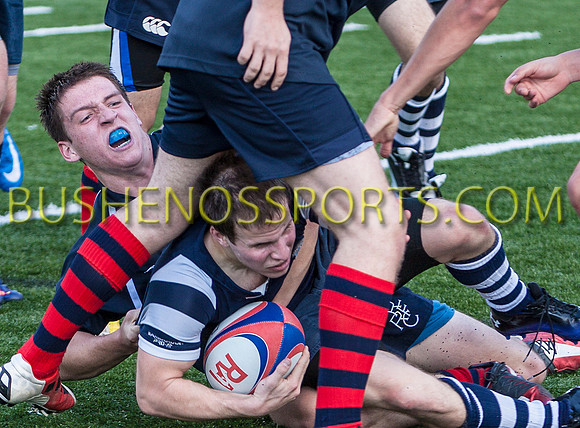 bushenosRugbyPOPE20512-6396 copy