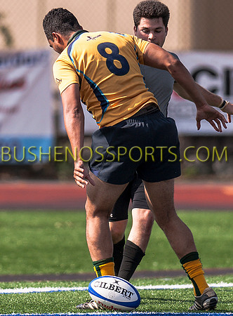 bushenosGaRug707-50512-2607