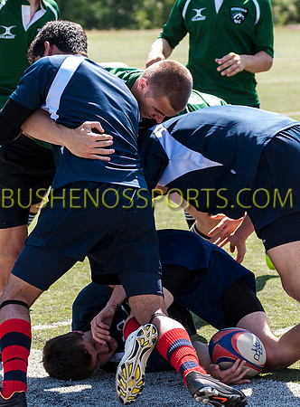 bushenos15sRug41412-2834