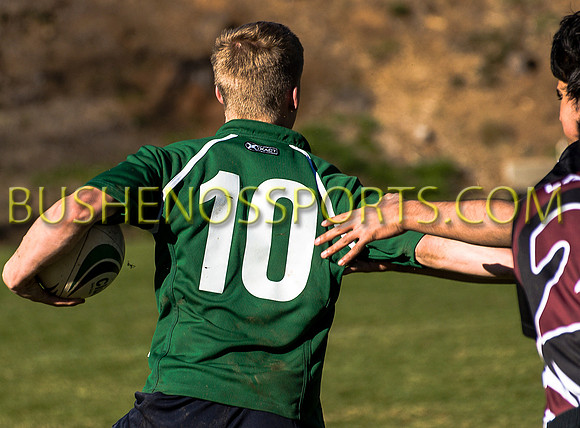 bushenosWalLamRugB022413-3366