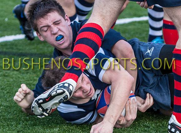 bushenosRugbyPOPE20512-6397cu
