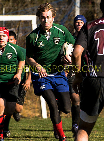bushenosWalLamRugB022413-3378