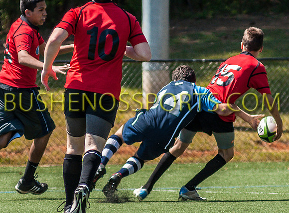 bushenos15sRug41412-2718