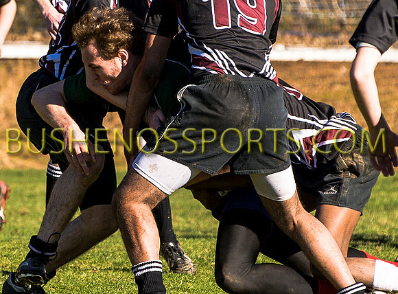 bushenosWalLamRugB022413-3382