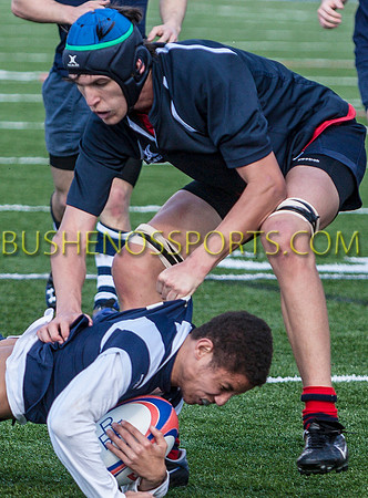 bushenosRugbyPOPE20512-6392 copy