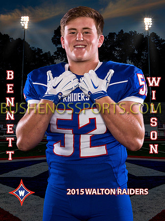 2015 BANNER2wilson4297sm
