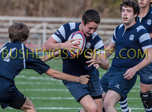 bushenosRugbyPOPE20512-6380 copy