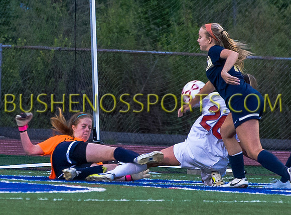 bushenosVarSocDac043013_0031