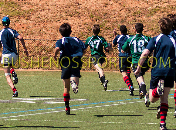 bushenos15sRug41412-2852