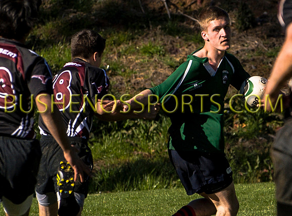 bushenosWalLamRugB022413-3372
