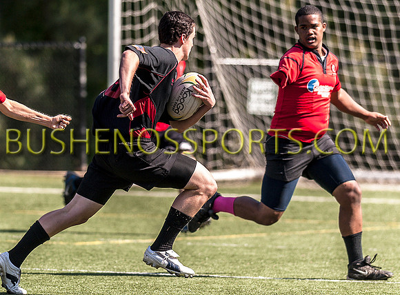 bushenos15sRug41412-0020