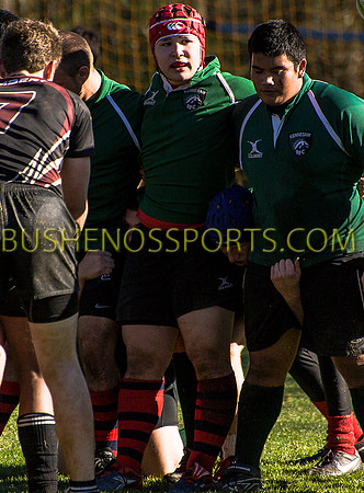 bushenosWalLamRugB022413-3393