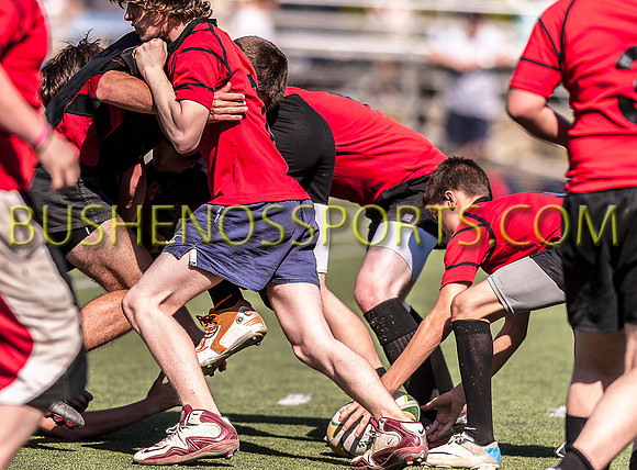 bushenos15sRug41412-0037