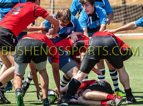 bushenos15sRug41412-2711