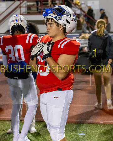 bushenosMtnView111023-0051