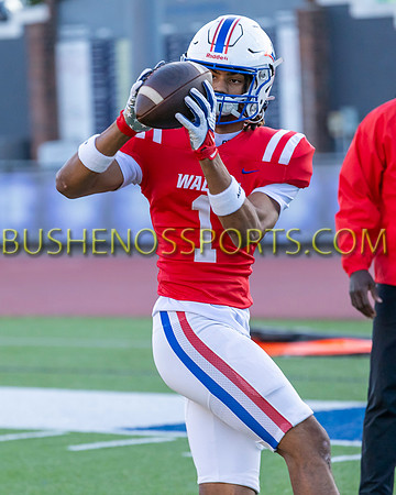 bushenosEtowah101824-4421