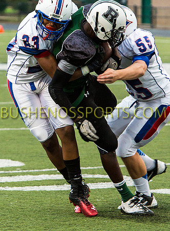 bushenosJVRoswell091213-8712
